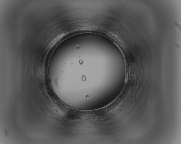 X0000091510436200709070957