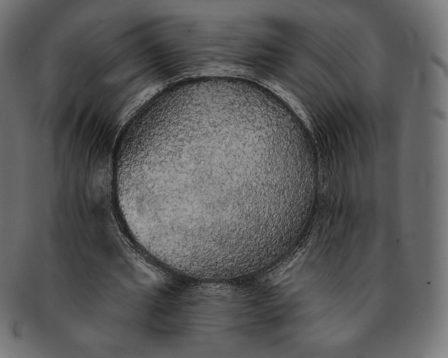 X0000091510437200709070957