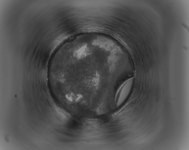 X0000091510438200709070957