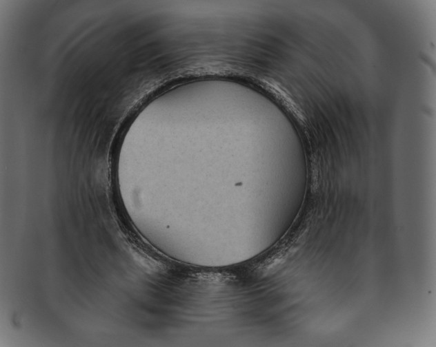 X0000091510439200709070957