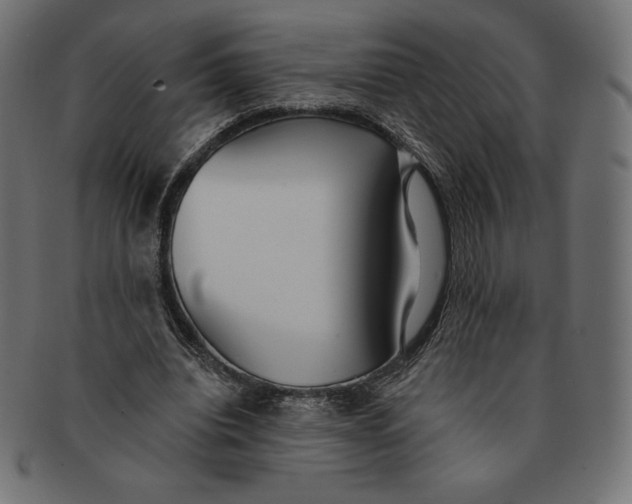 X0000091510440200709070957