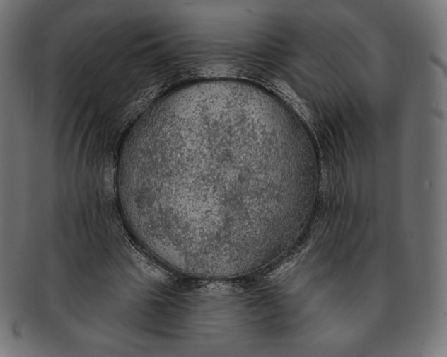 X0000091510441200709070957