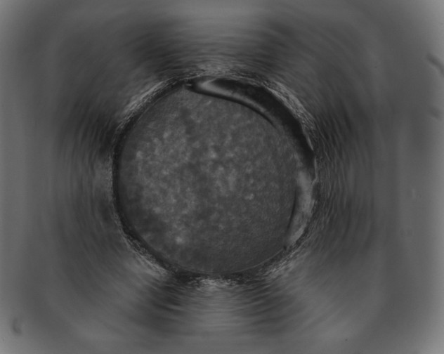 X0000091510442200709070957