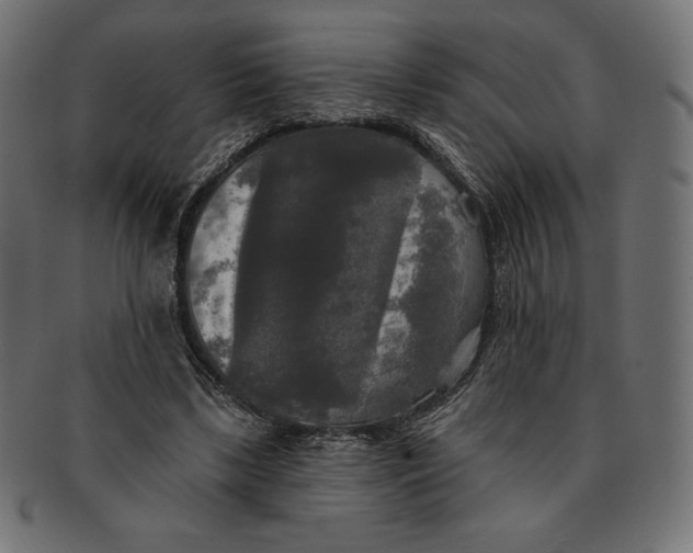 X0000091510443200709070957