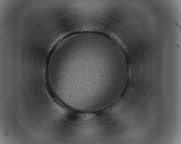 X0000091510444200709070957