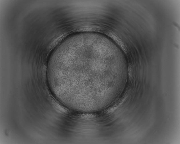 X0000091510445200709070957