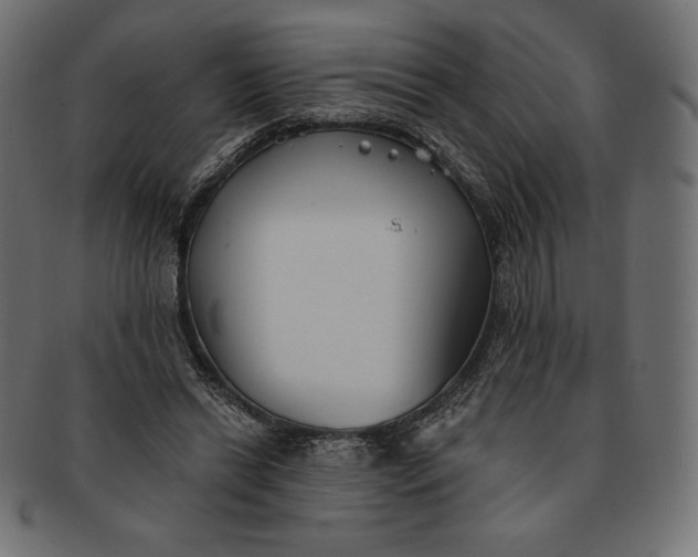 X0000091510446200709070957