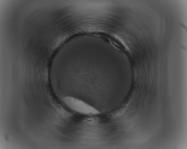 X0000091510447200709070957