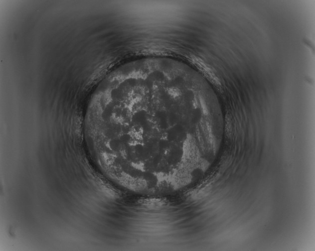 X0000091510449200709070957