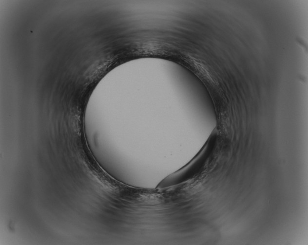 X0000091510450200709070957