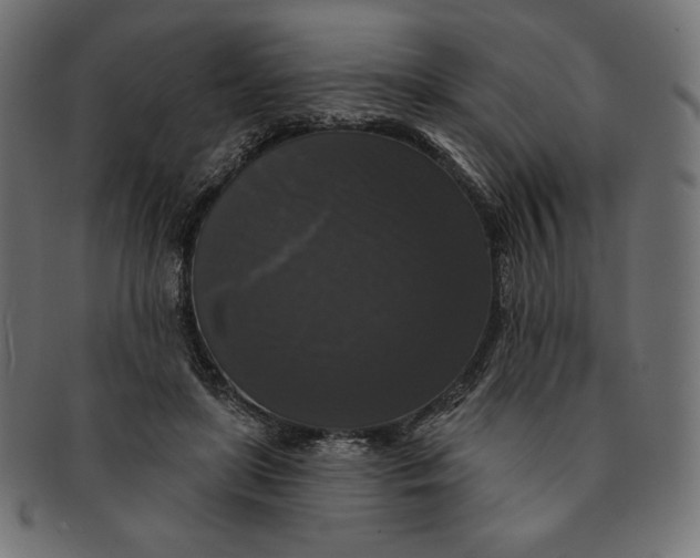 X0000091510451200709070957