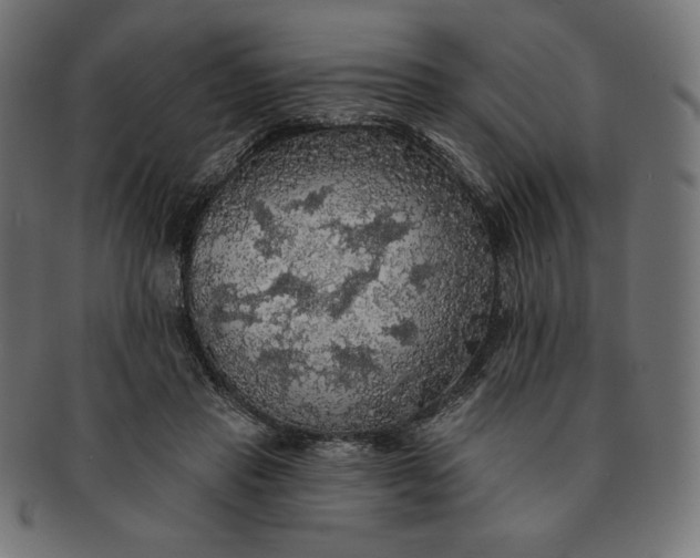 X0000091510453200709070957