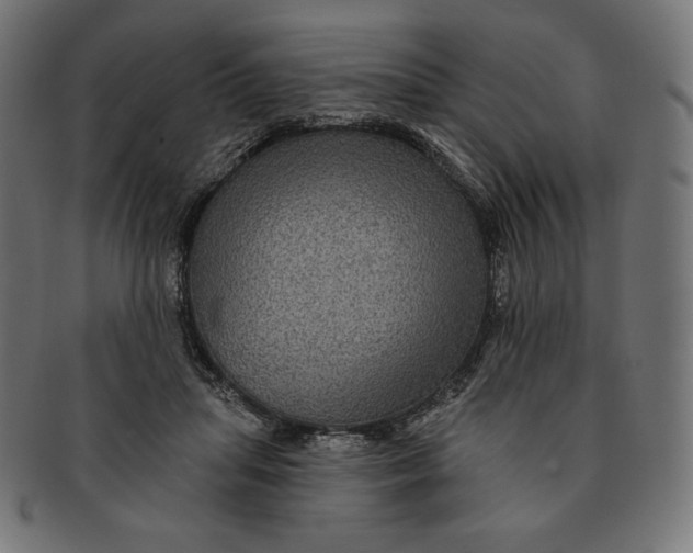 X0000091510455200709070957