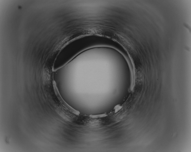 X0000091510456200709070957