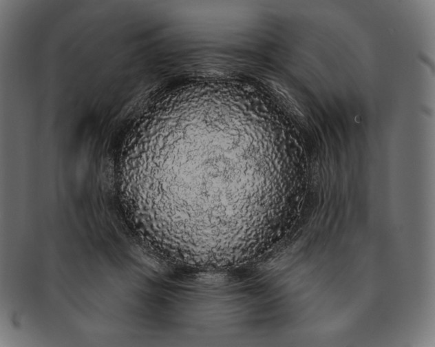 X0000091510457200709070957