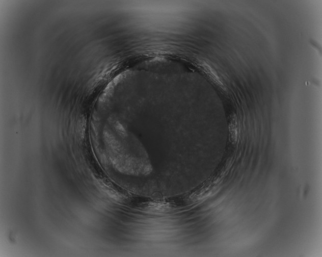 X0000091510458200709070957