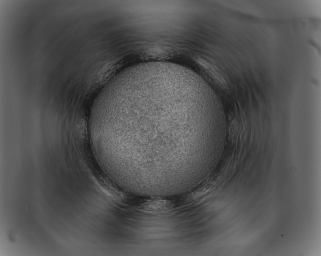 X0000091510459200709070957