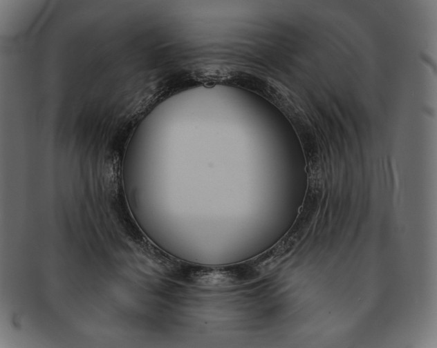 X0000091510460200709070957