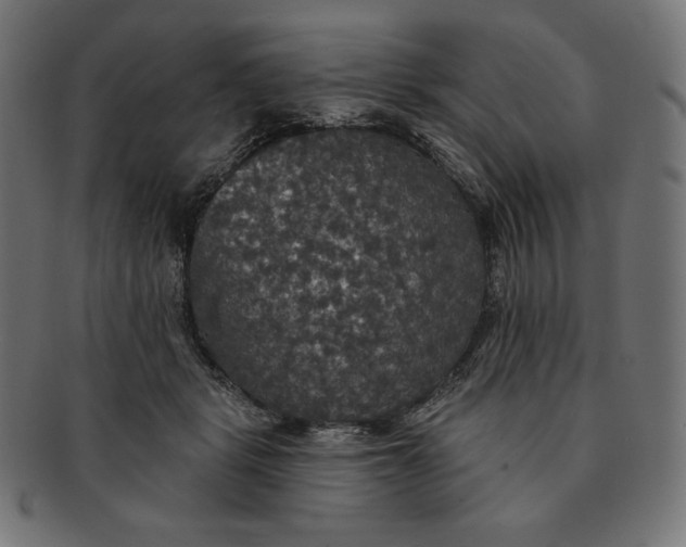 X0000091510461200709070957