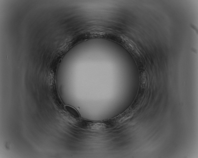 X0000091510463200709070957