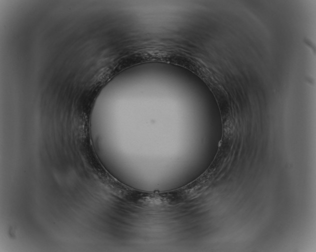 X0000091510464200709070957