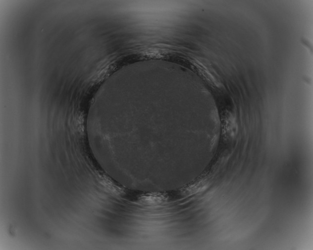 X0000091510466200709070957