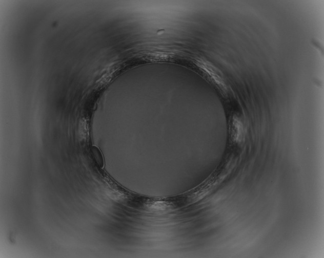 X0000091510467200709070957