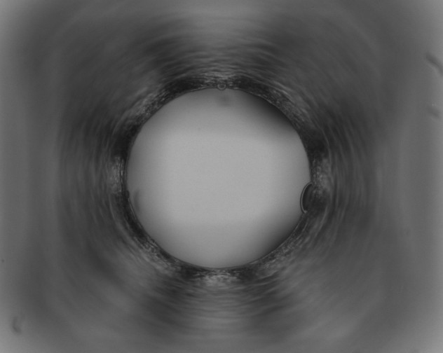 X0000091510468200709070958