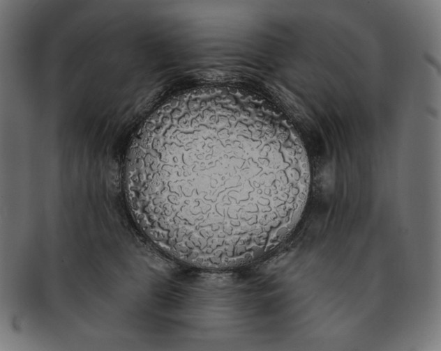 X0000091510469200709070958