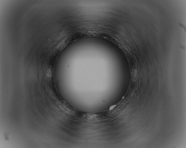 X0000091510472200709070958