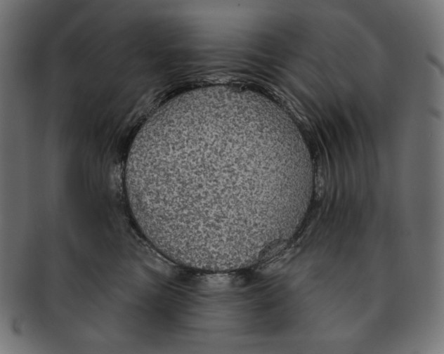 X0000091510473200709070958