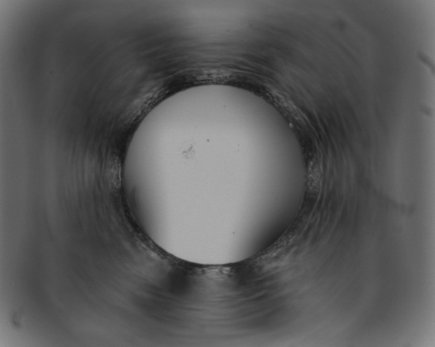 X0000091510474200709070958