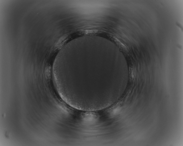 X0000091510475200709070958