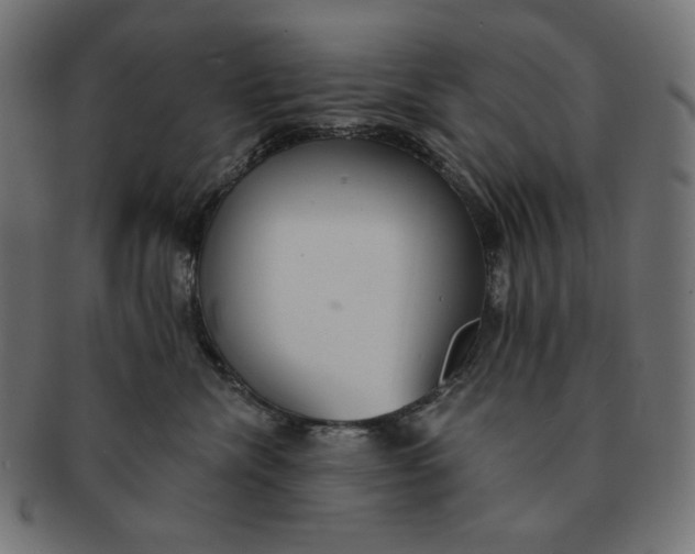 X0000091510476200709070958