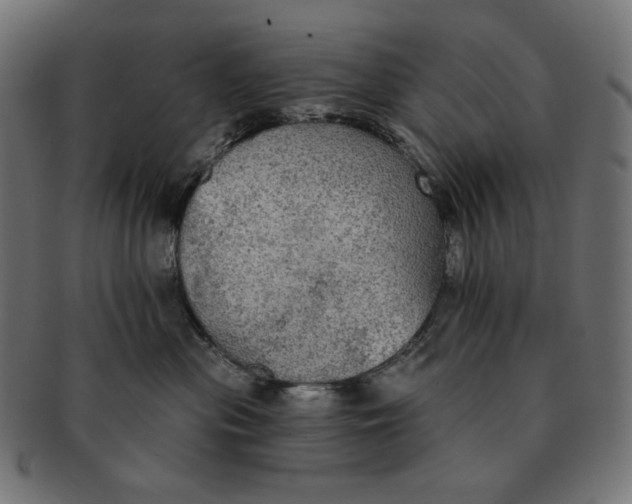 X0000091510477200709070958