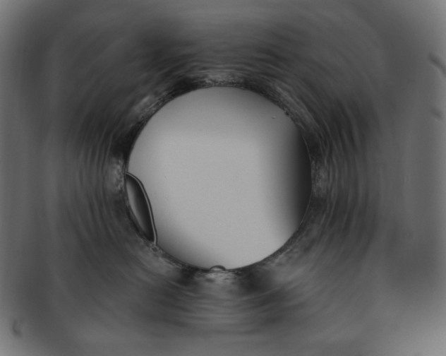 X0000091510478200709070958