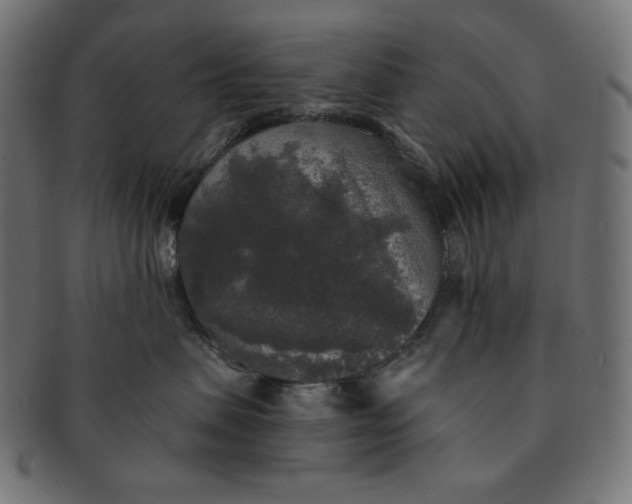 X0000091510479200709070958