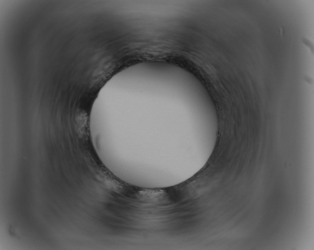 X0000091510480200709070958