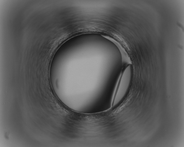 X0000091510481200709070957