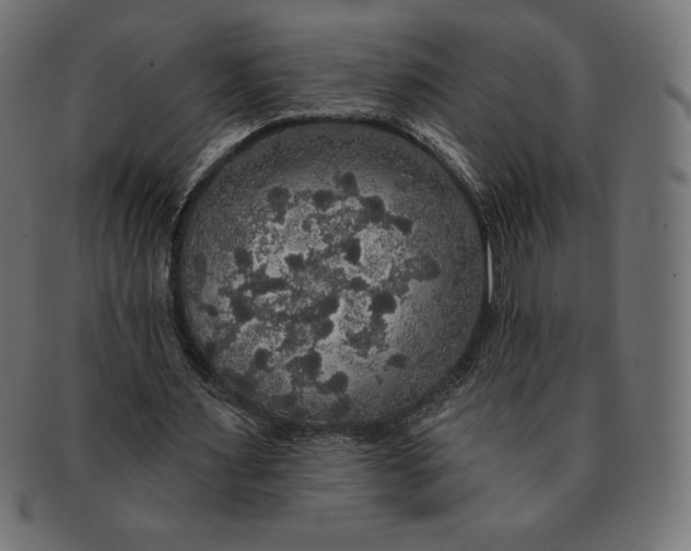 X0000091510483200709070957