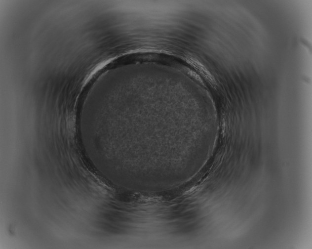 X0000091510484200709070957