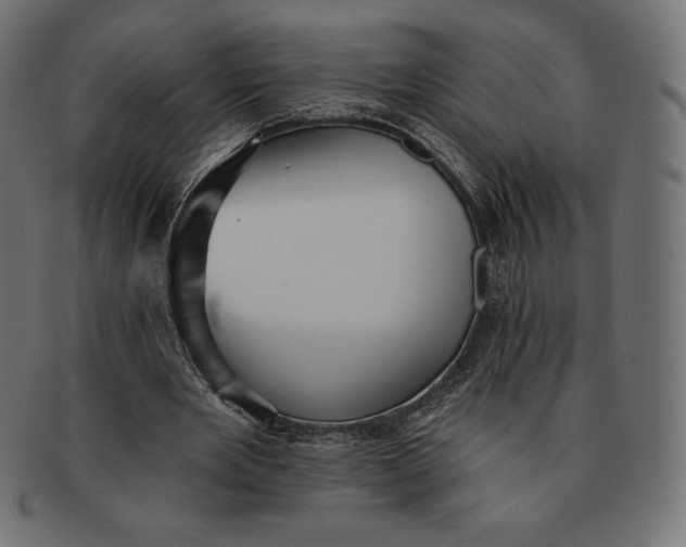 X0000091510485200709070957