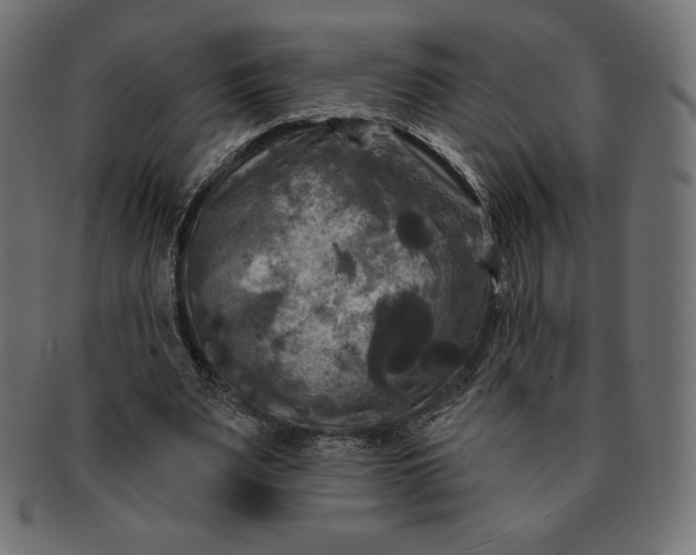 X0000091510487200709070957