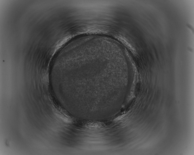 X0000091510488200709070957