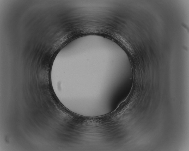 X0000091510489200709070957