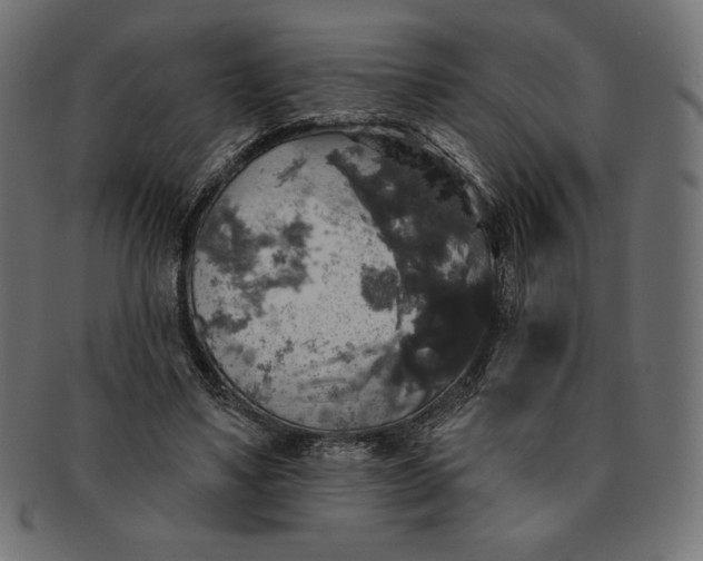 X0000091510491200709070957