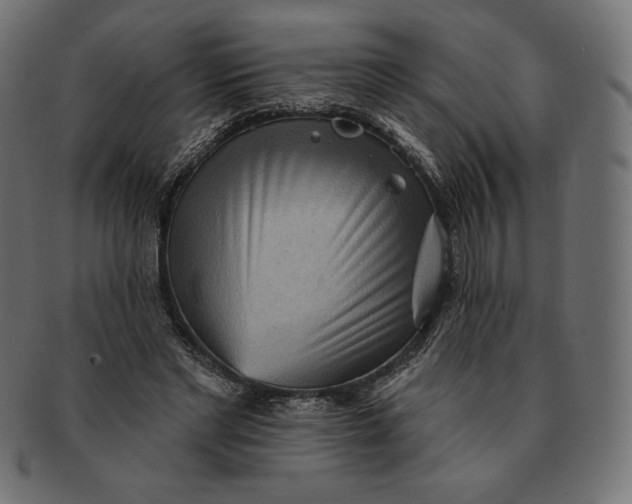 X0000091510493200709070957