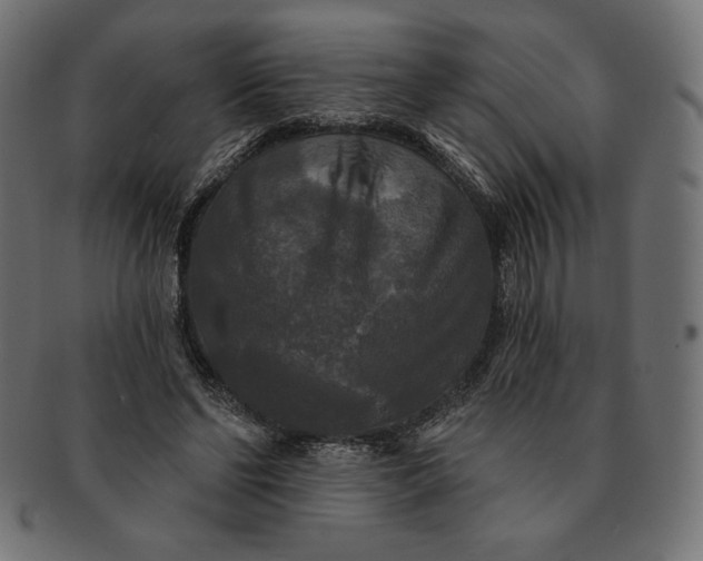 X0000091510494200709070957