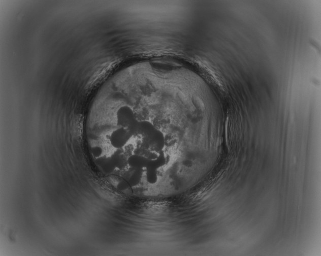 X0000091510495200709070957