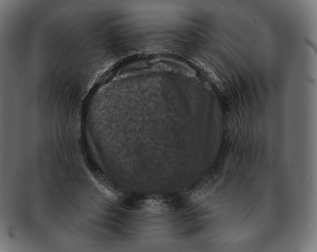 X0000091510496200709070957